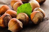 FESTA DELLA NOCCIOLA - 26 novembre 2016
